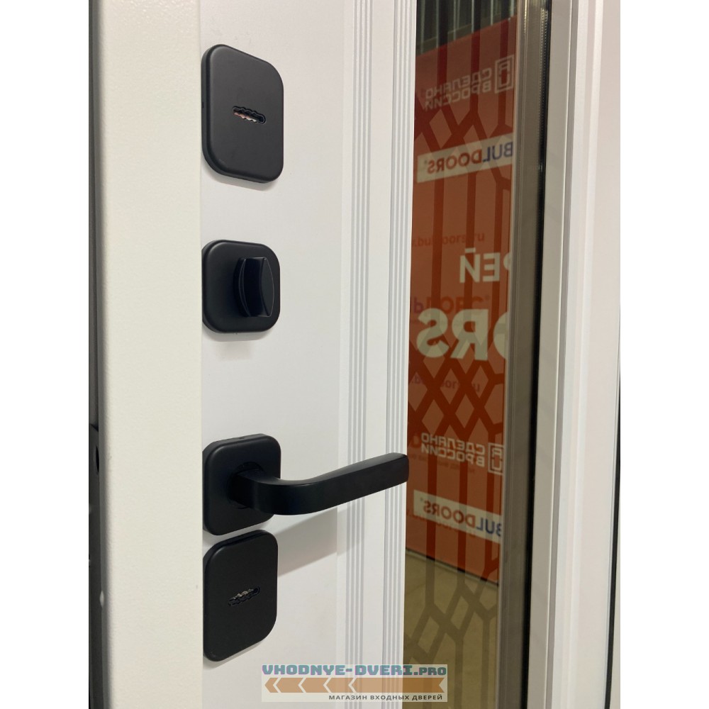 Дверь Бульдорс TERMO PREMIUM 4